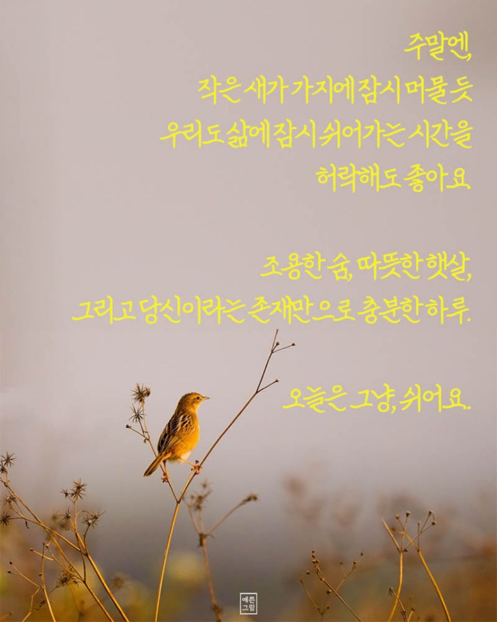 몬타나 이미지