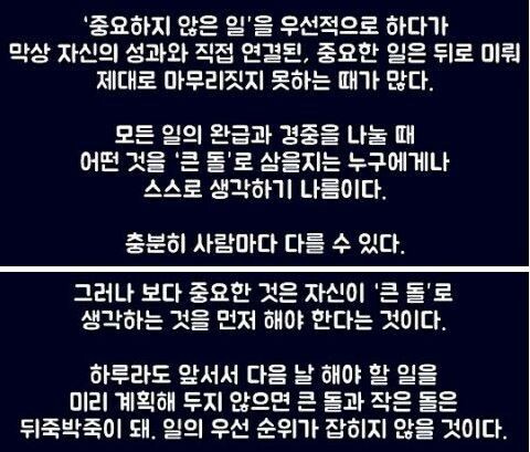 황금씨앗 이미지