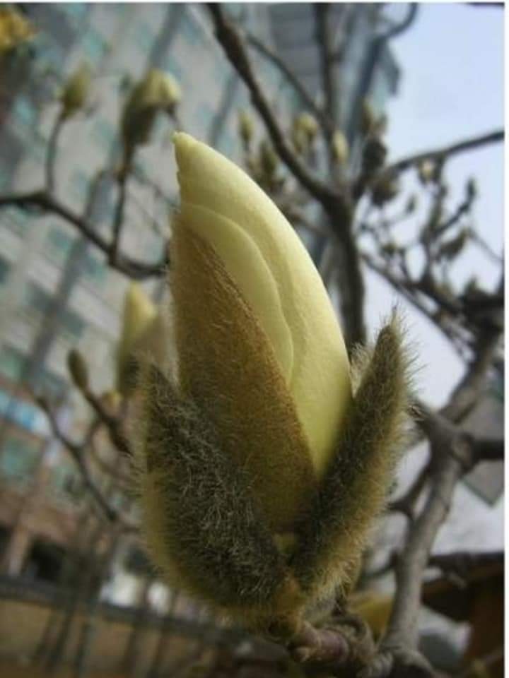 속삭임 이미지