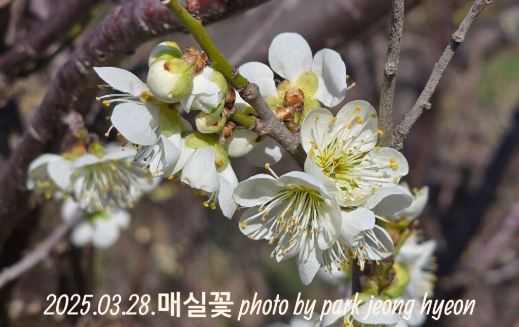 속삭임 이미지