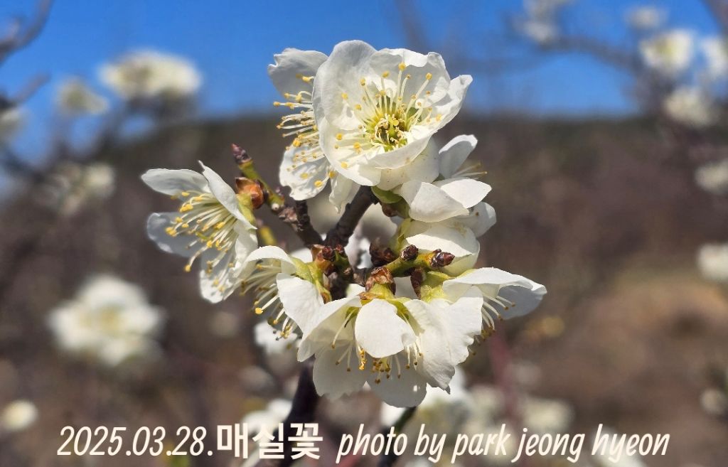 속삭임 이미지
