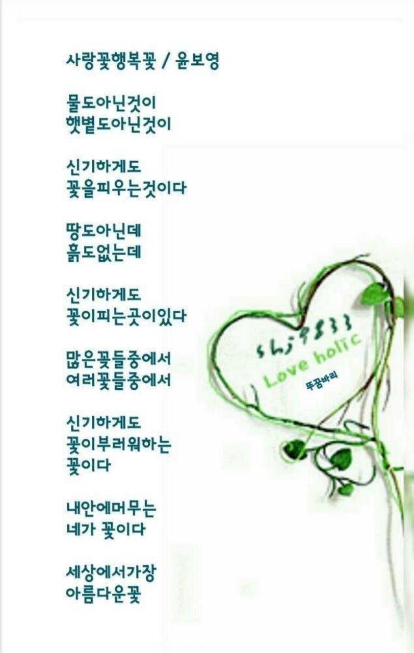 행복꽃 이미지