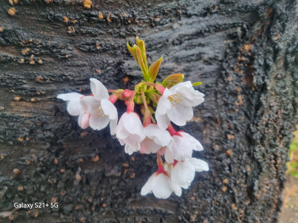 구로경찰서 이미지