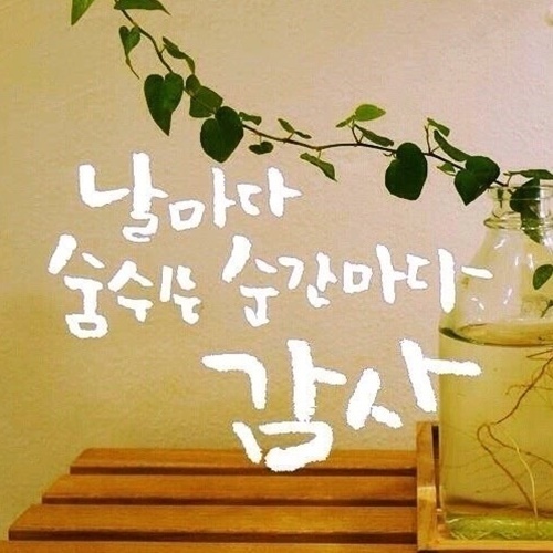 쎄리 이미지