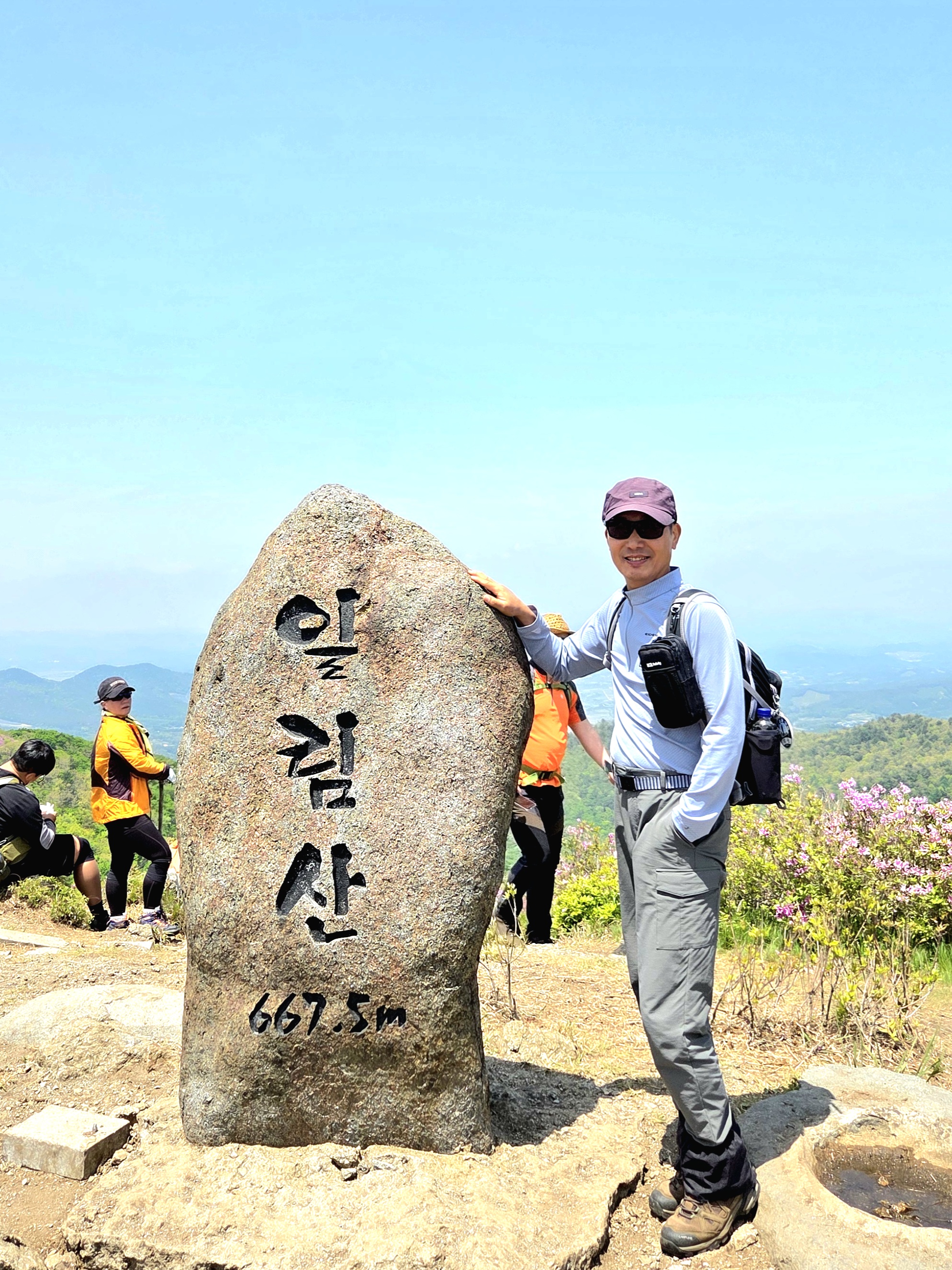 일림 이미지
