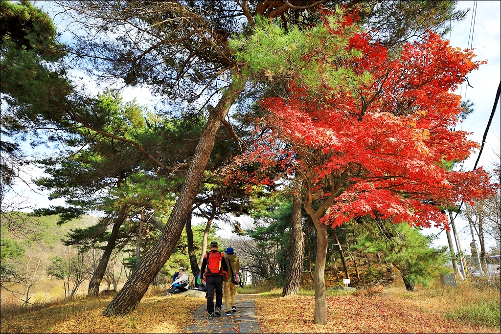 (주)풀향기 이미지
