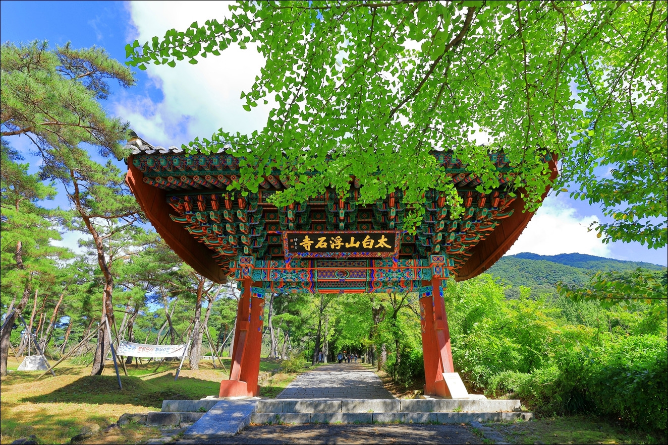 일심통상 이미지