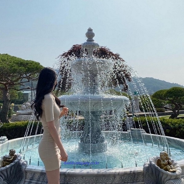 라이언컴퍼니3 이미지
