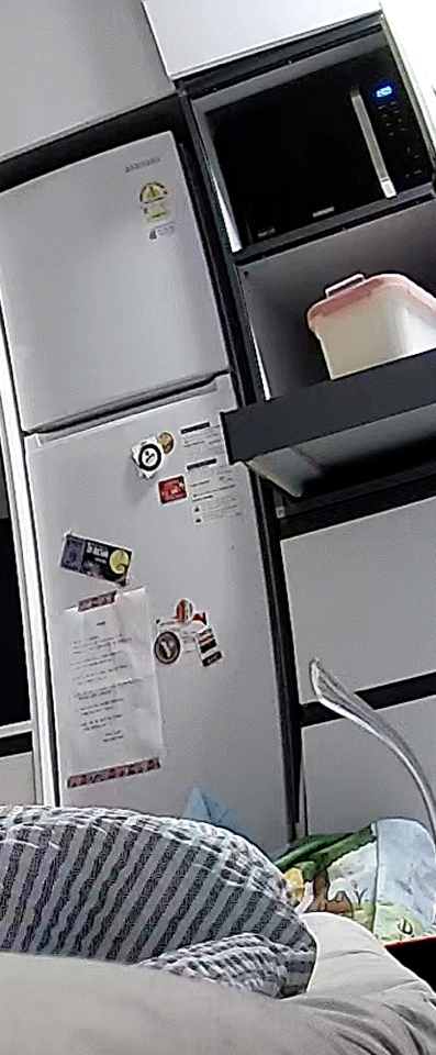 우리 집에 진짜 골 때리는 고양이가 있는데 함 봐봐 너네 동영상 안보니까 내가 움짤 쪄옴🥺 | 인스티즈