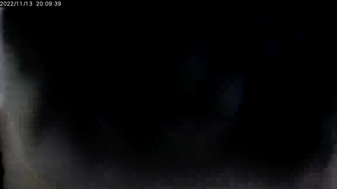 우리 집에 진짜 골 때리는 고양이가 있는데 함 봐봐 너네 동영상 안보니까 내가 움짤 쪄옴🥺 | 인스티즈