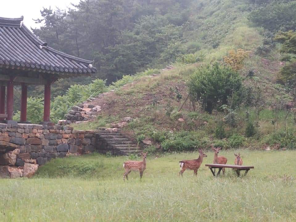 안흥바다마을 이미지