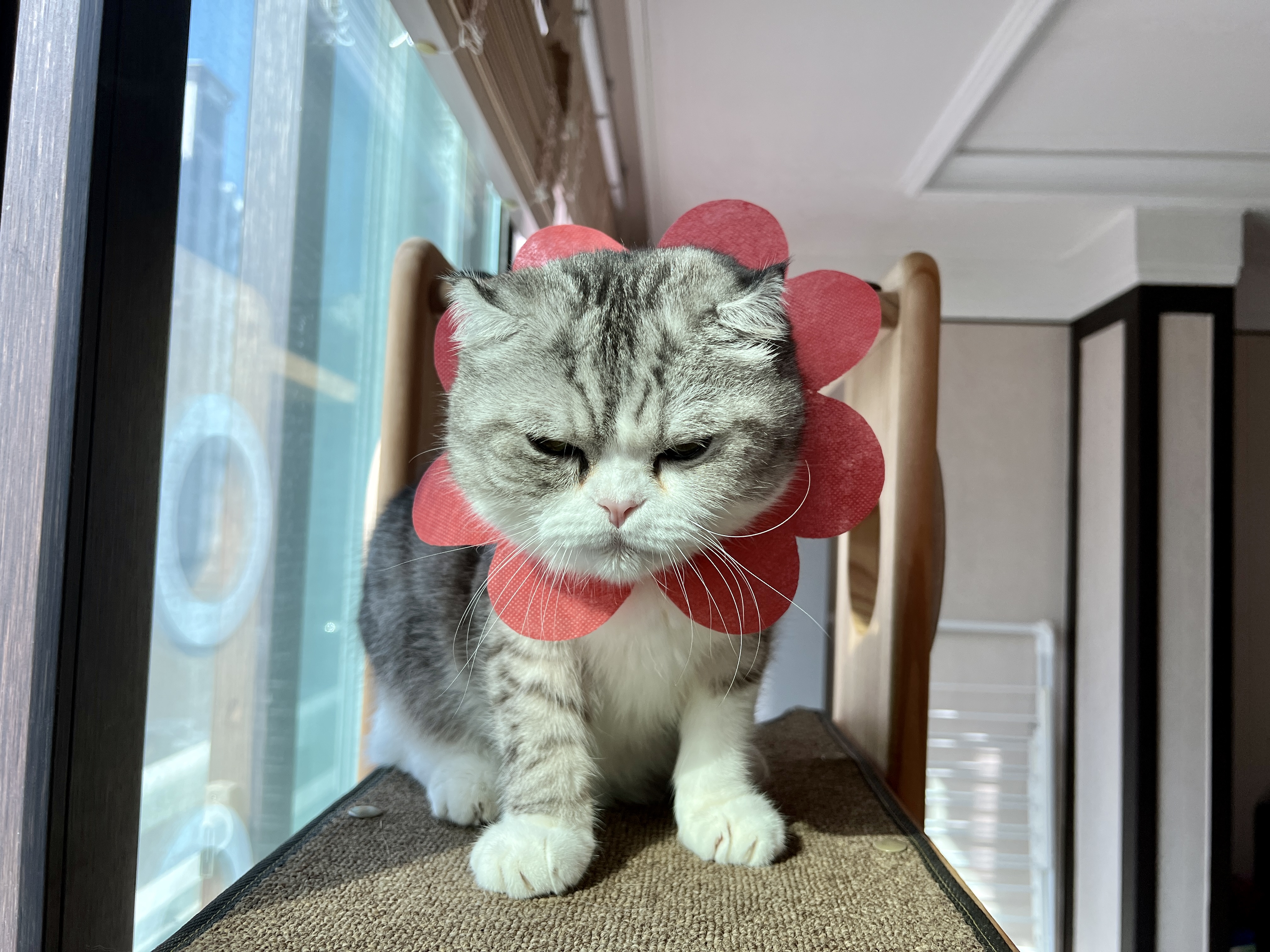 행복집 이미지