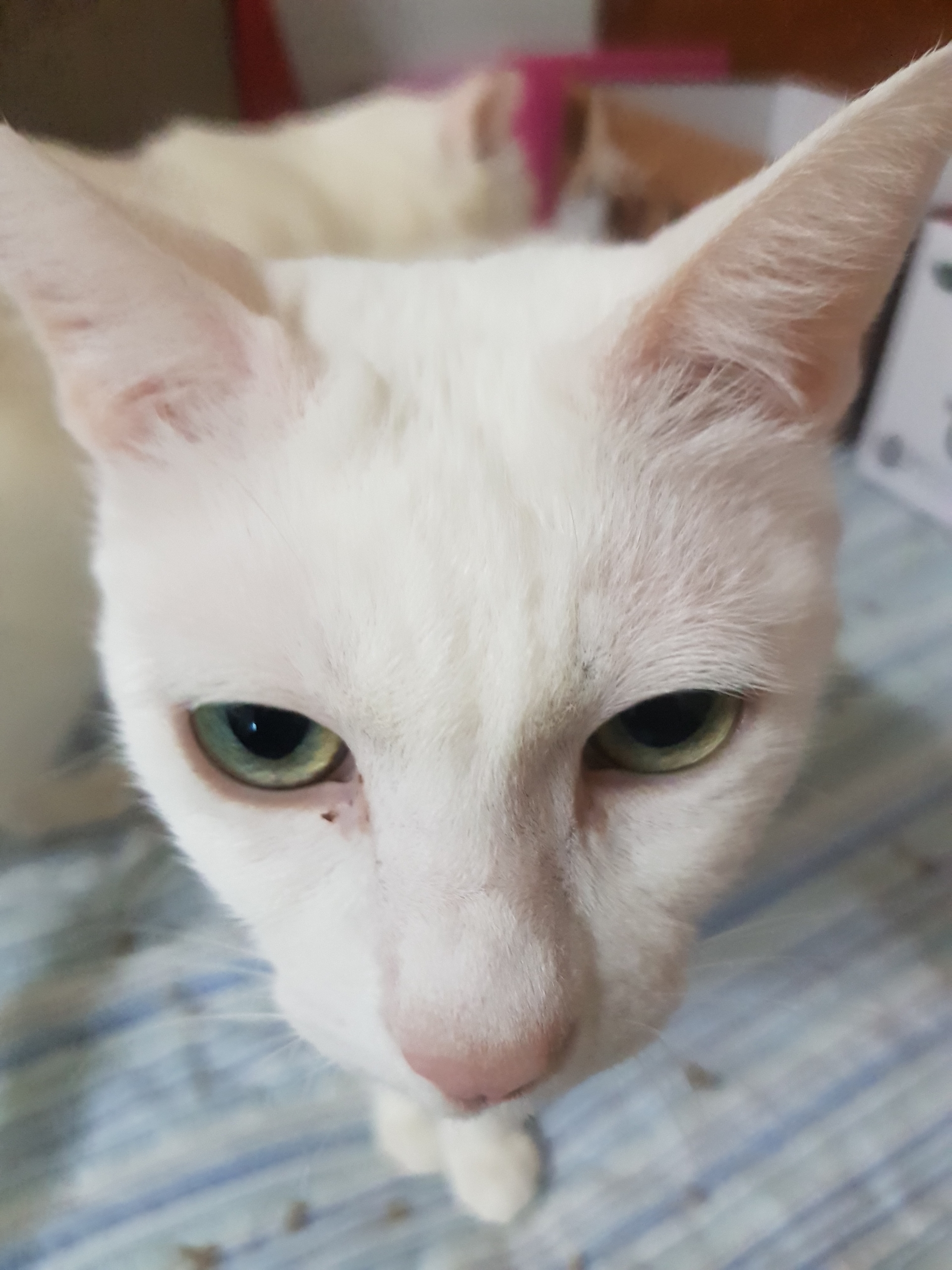 통이네집 이미지