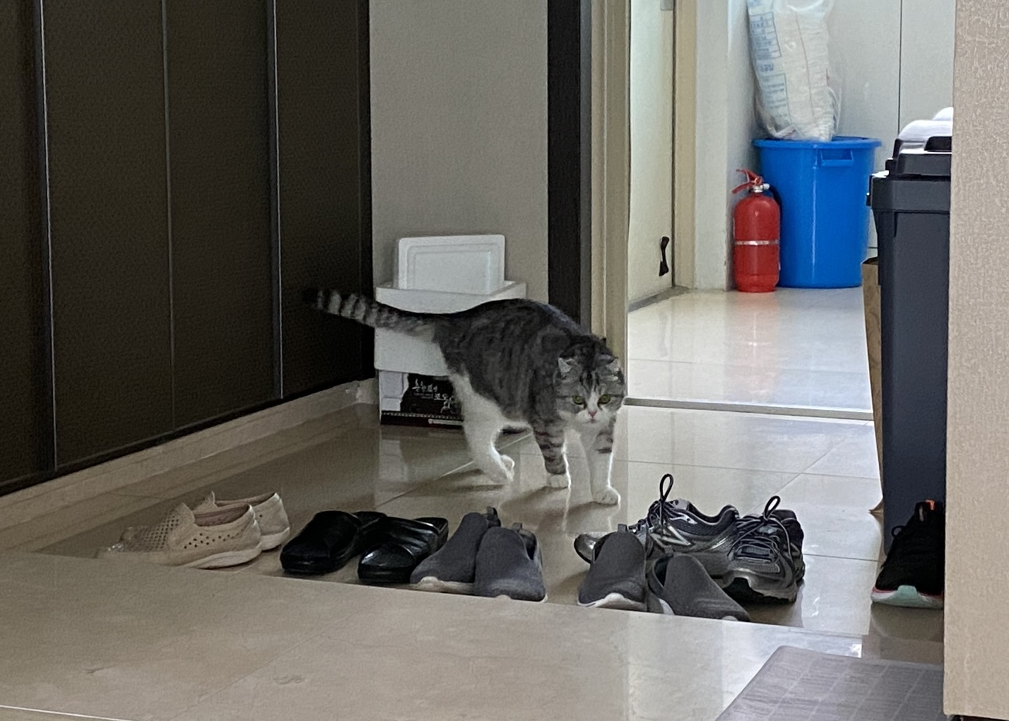 스멜 이미지
