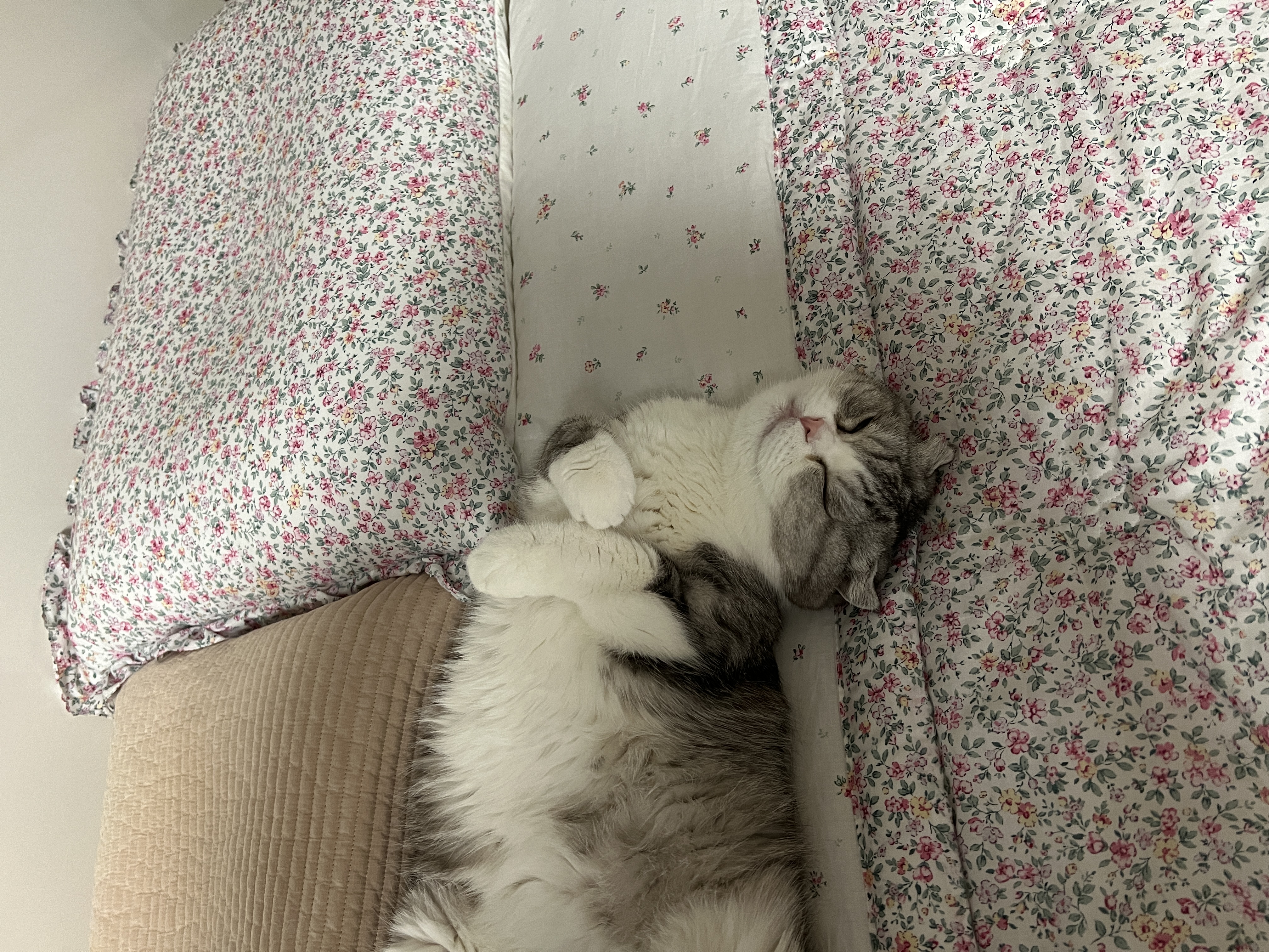 행복8 이미지