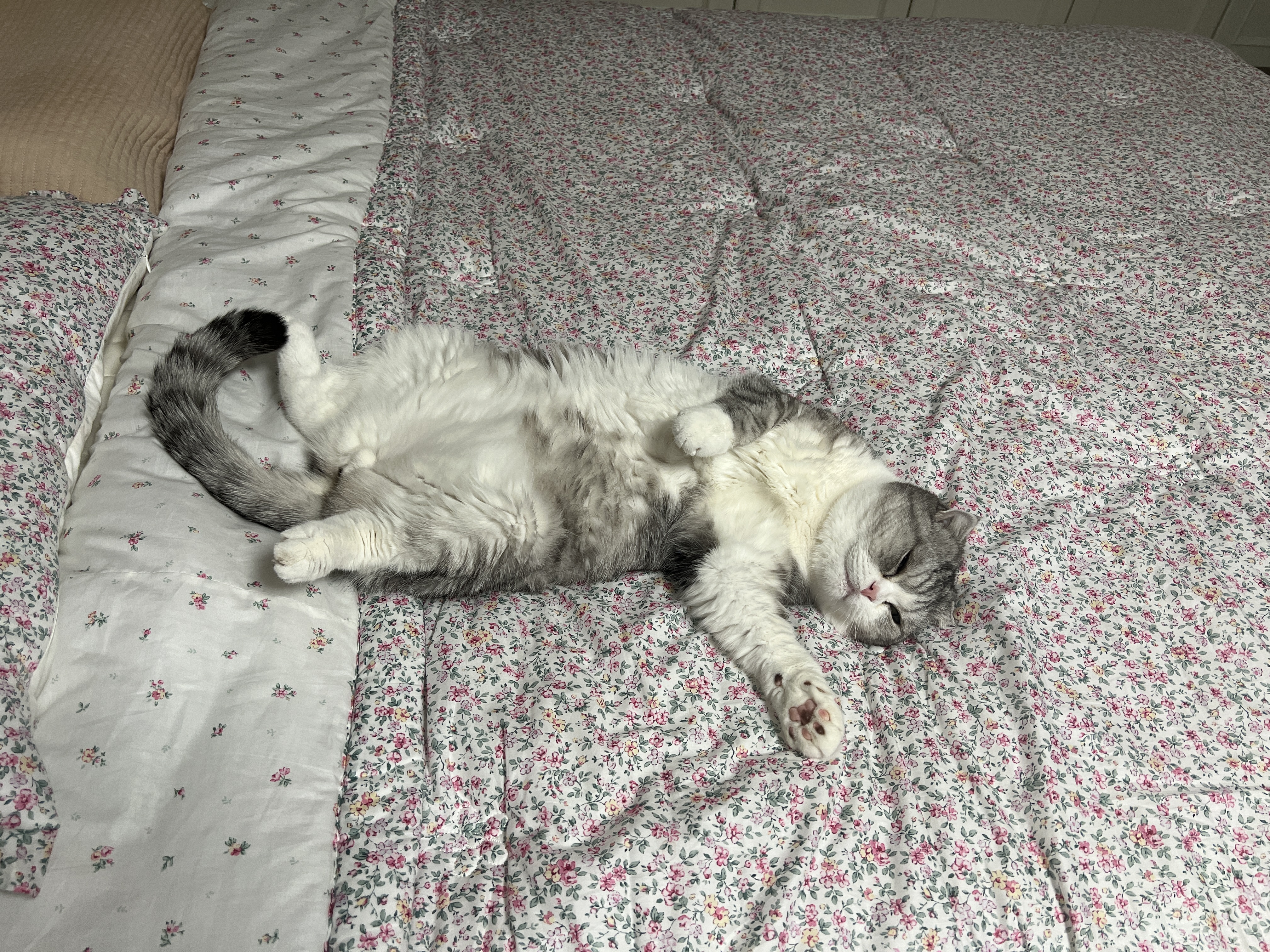 행복8 이미지