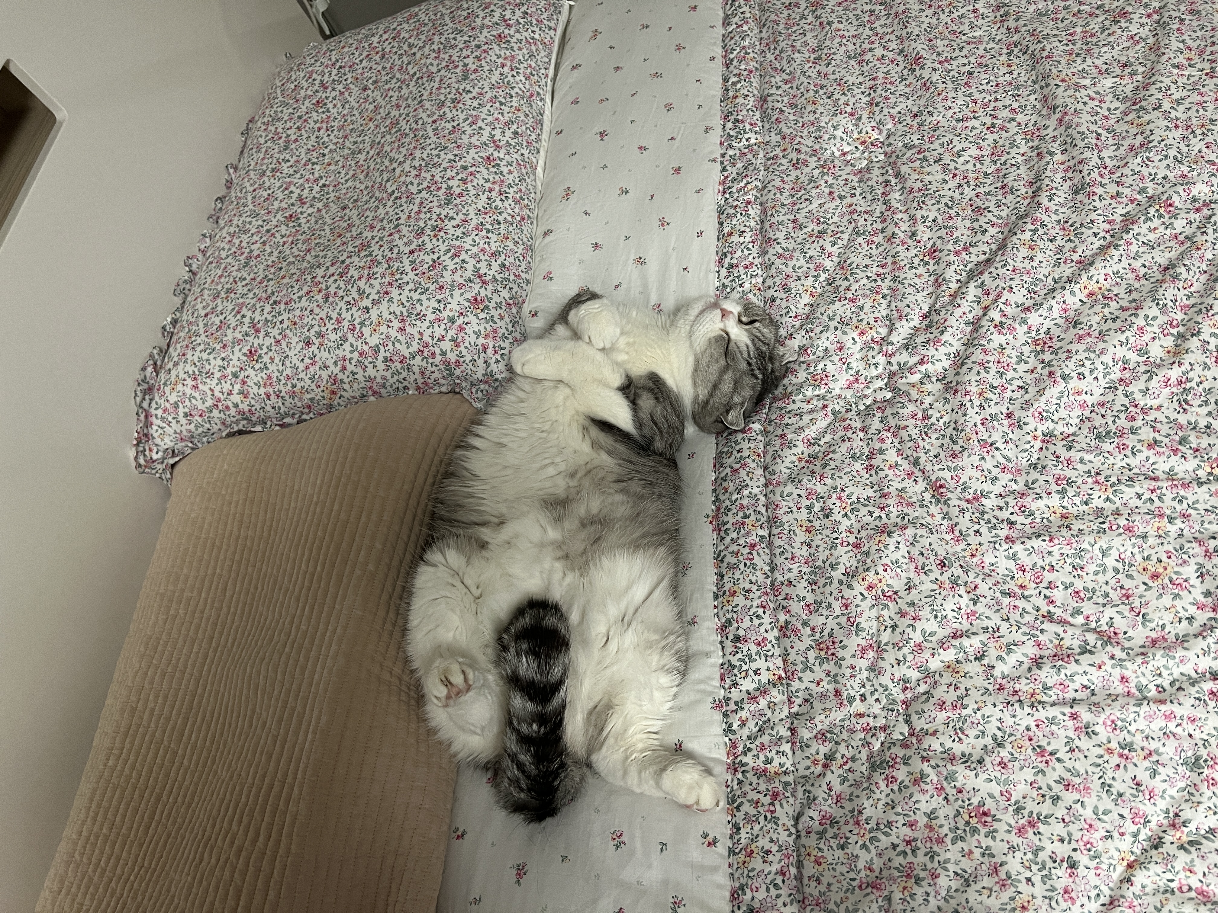 행복8 이미지