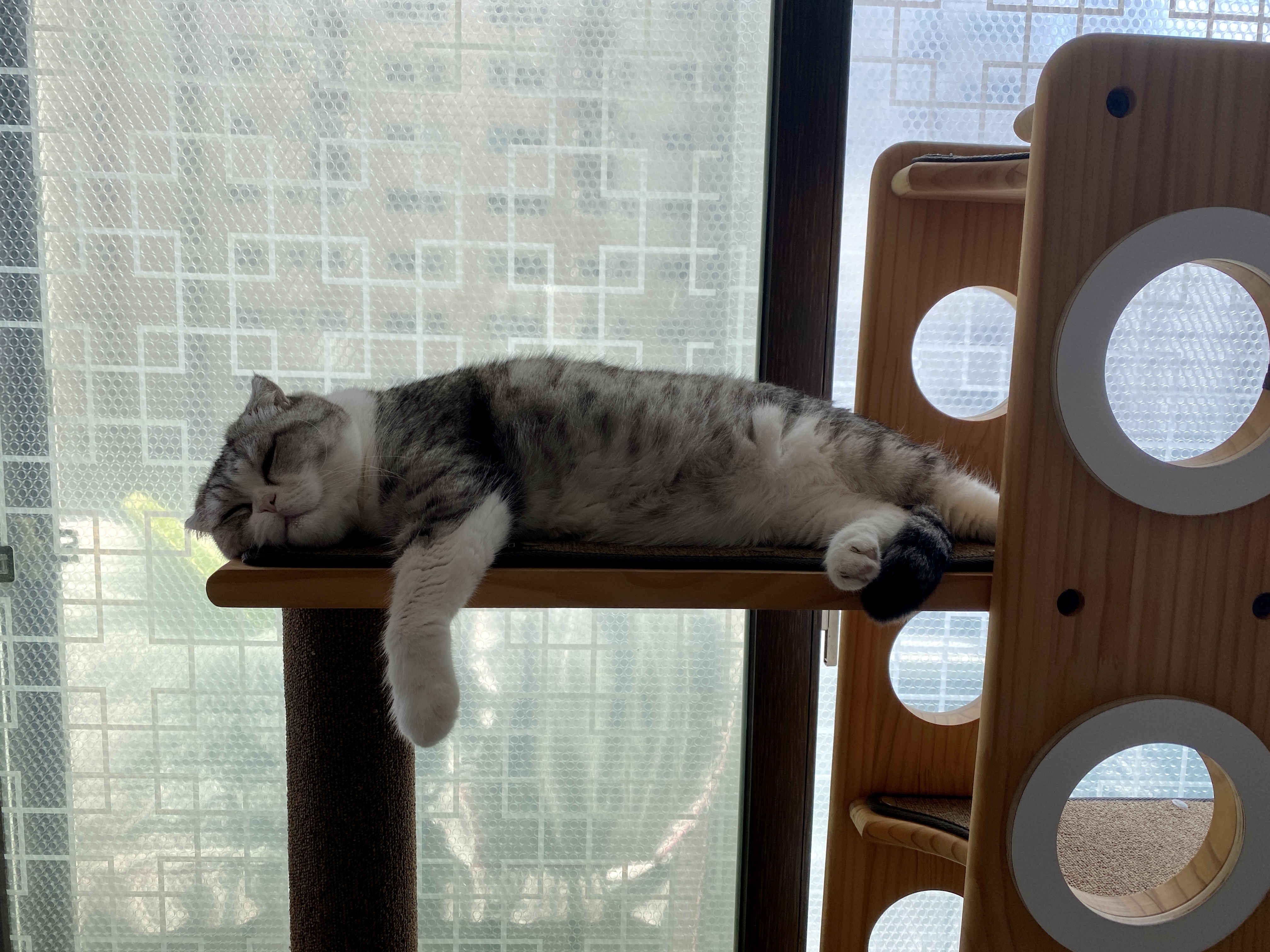 사랑에어컨 이미지