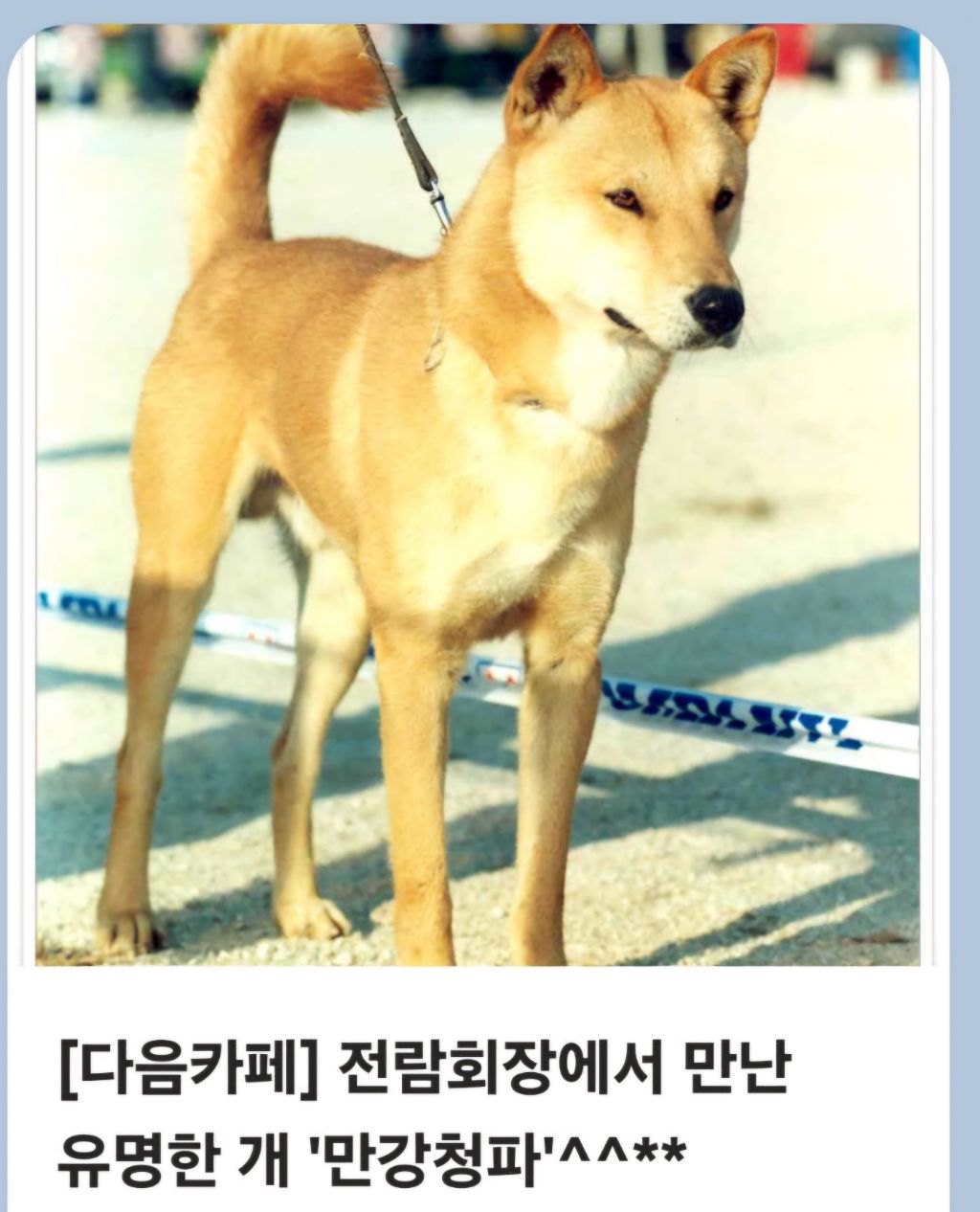 만강 이미지