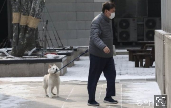 인성 이미지