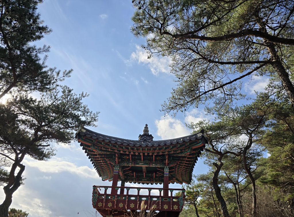 산들애 이미지