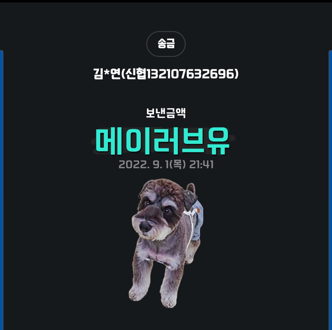 메이쎈 이미지