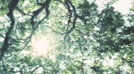 로설 로판 속, 티키타카와 탈룰라가 난무하는 문장 모음 | 인스티즈