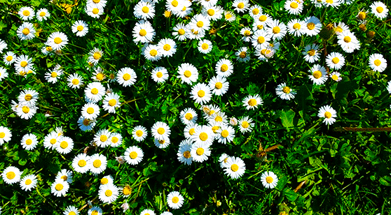 로설 로판 속, 티키타카와 탈룰라가 난무하는 문장 모음 | 인스티즈