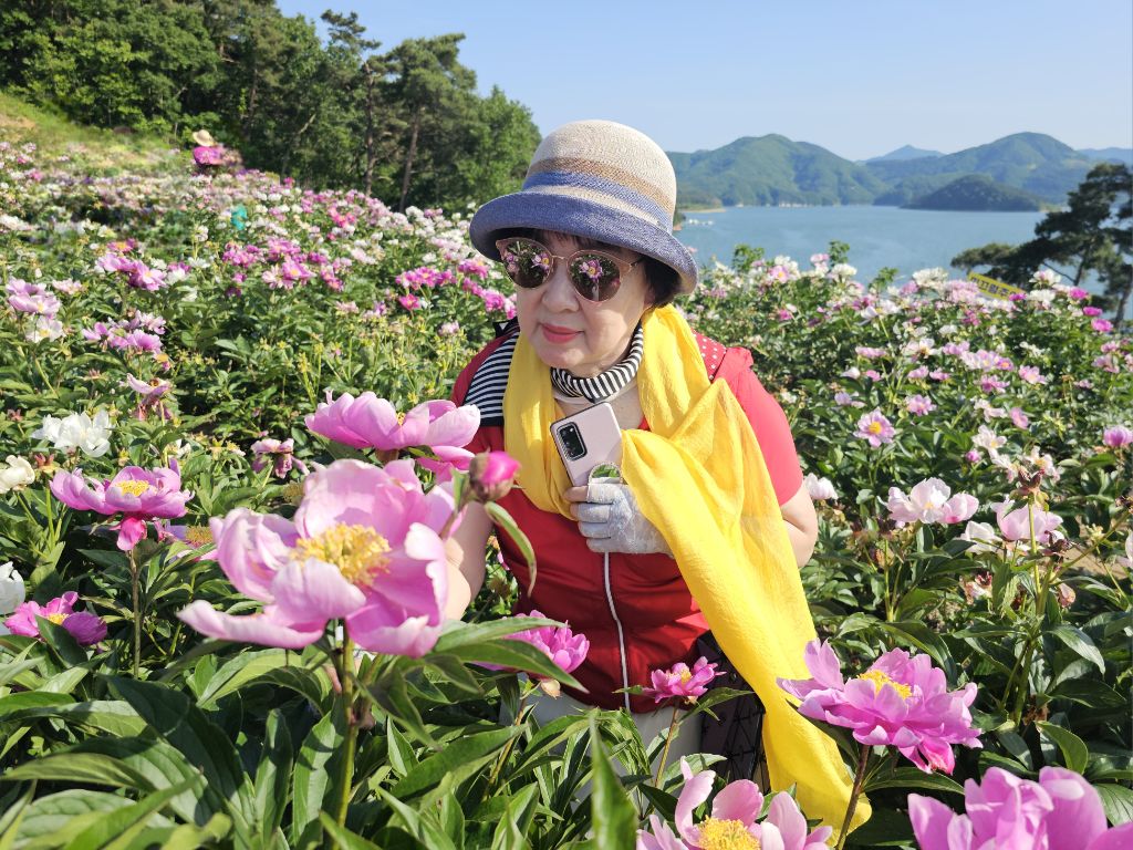 송아 이미지