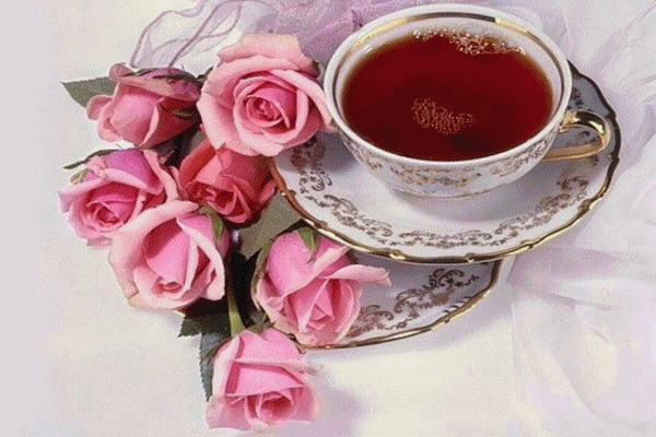 카페 프로필 이미지