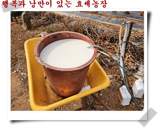 민유통 이미지