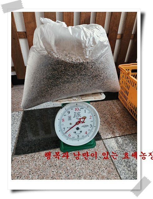 무진농장 이미지
