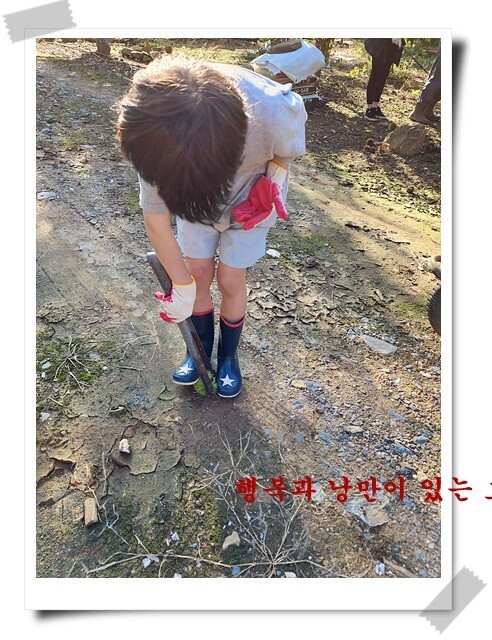 형제농장 이미지