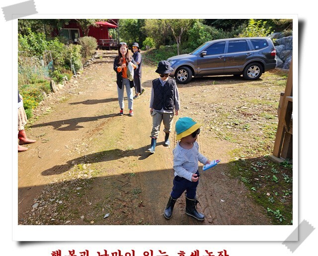 형제농장 이미지