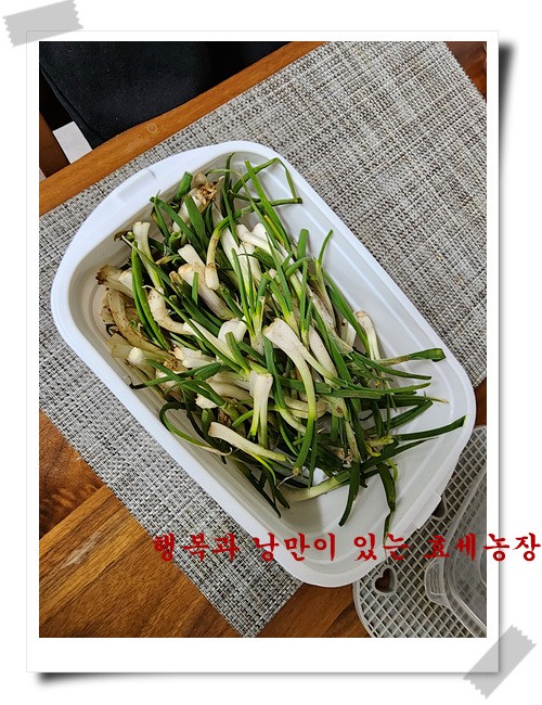 정초 이미지