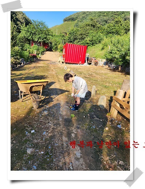 형제농장 이미지