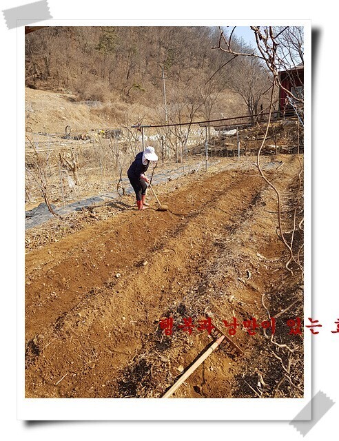 일박이일 이미지