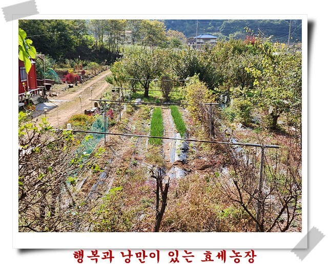 무진농장 이미지