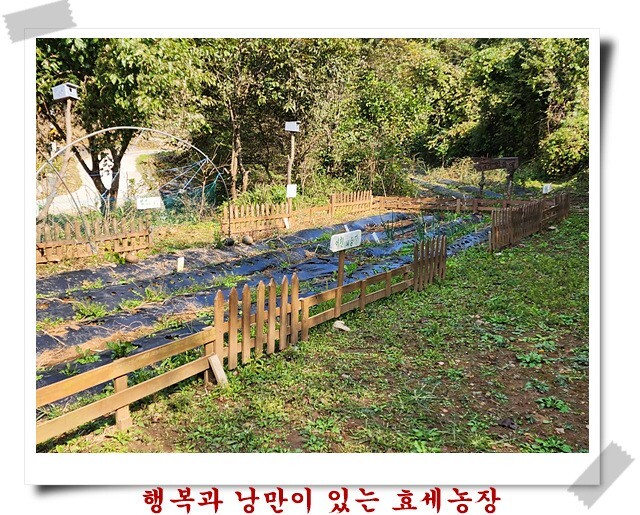 무진농장 이미지