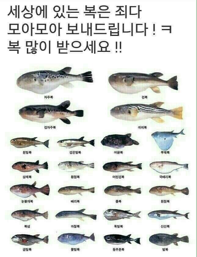 행복하소 이미지