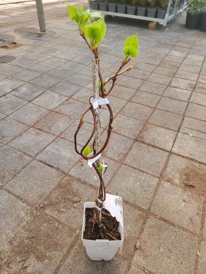 바위 포토죤 이미지