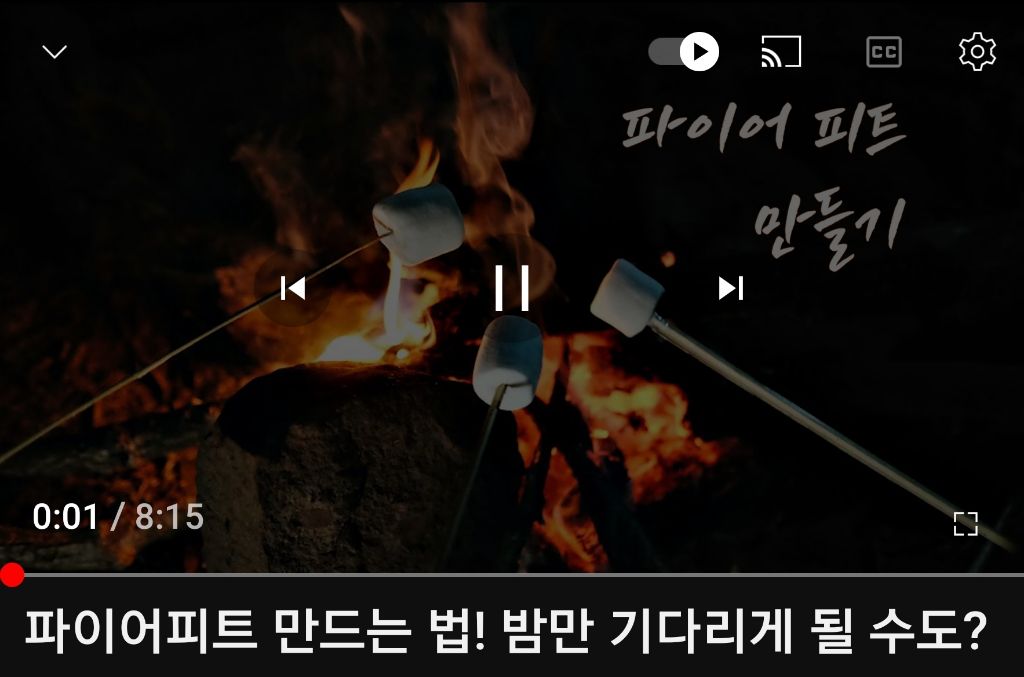 피트카페 이미지