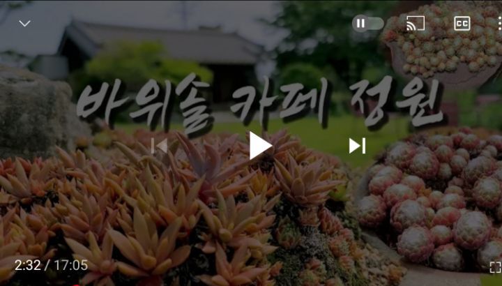 카페바위솔 이미지