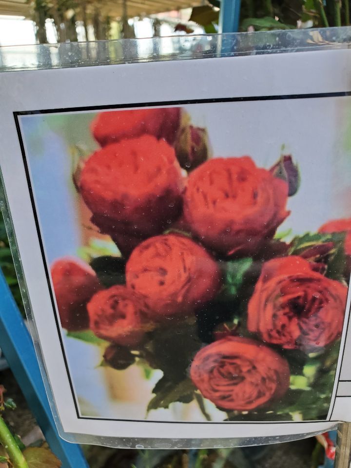 해피피아노 이미지