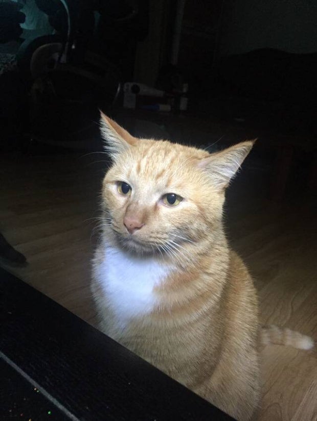 깜 이미지