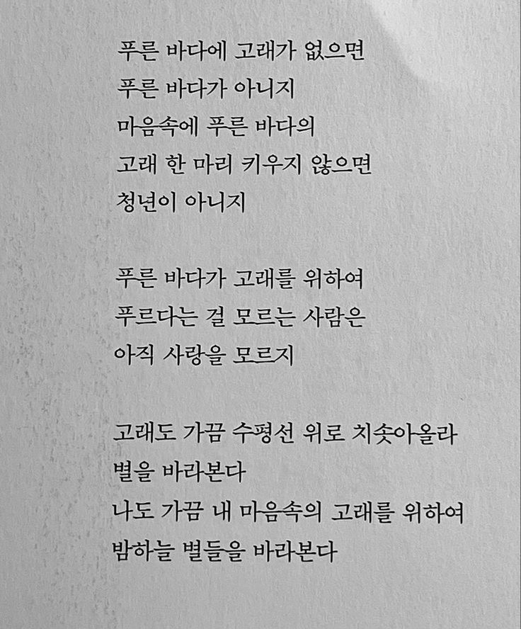 마시떼 이미지