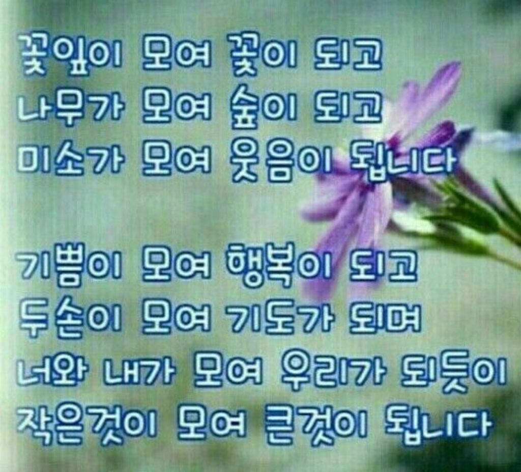 모여모여 이미지