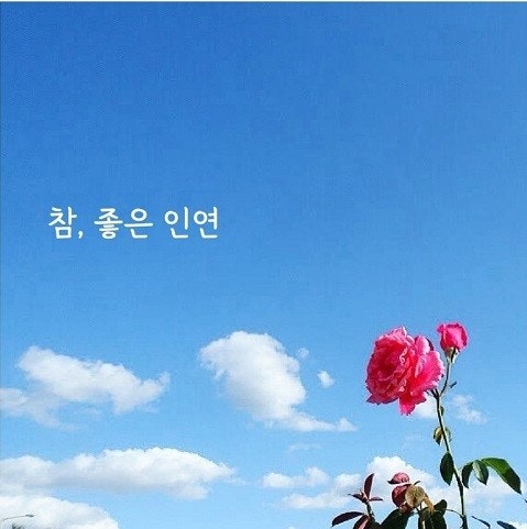 인연 이미지