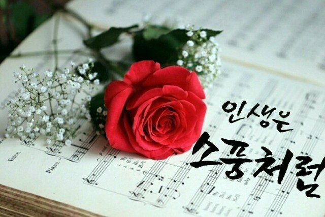 건강한하루 이미지