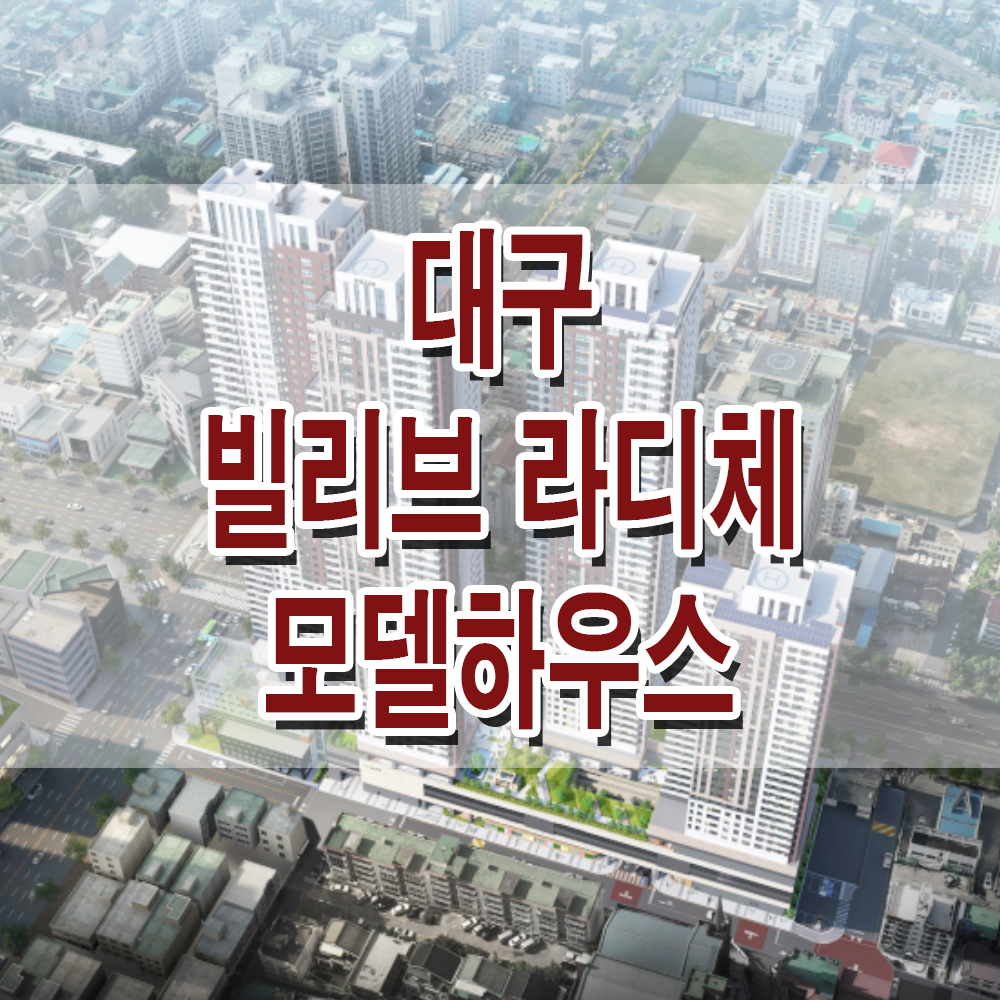 라디체 이미지